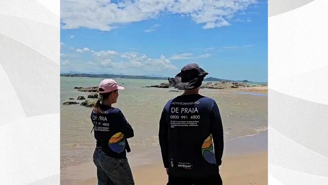 Elefante-marinho que apareceu em praias capixabas segue no ES