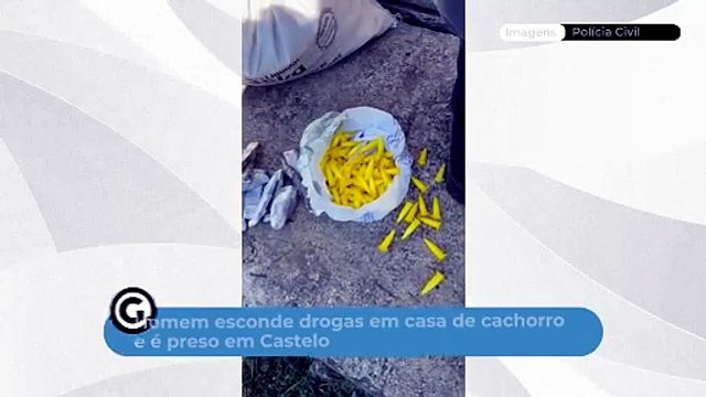 Homem esconde drogas em casa de cachorro e é preso em Castelo