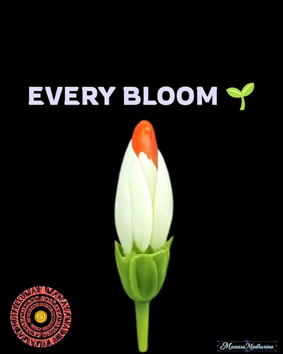 🌱 From silence to bloom... ✨🌼