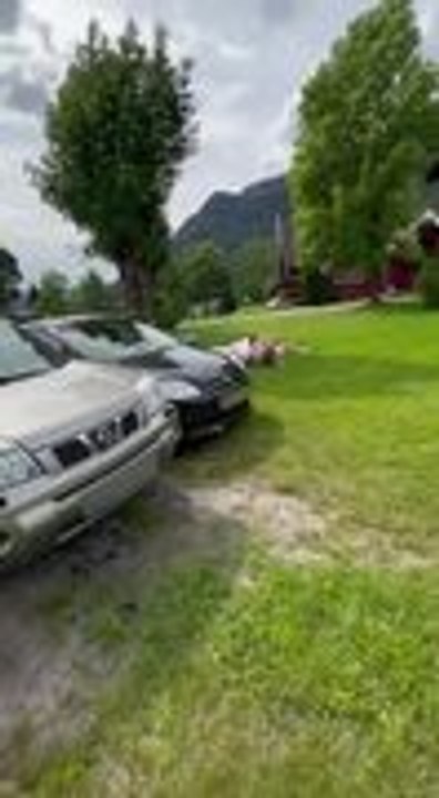 Guy Lands Badly on Car Roof After Failed Jump o...