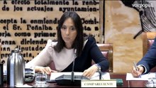 Dierctora de la  Guardia Civil, sobre su relación con Leire Díez