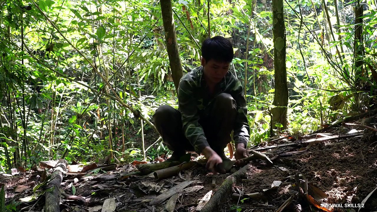 Life in the wilderness trapping wild boars, caring for abandoned wild boar piglets
