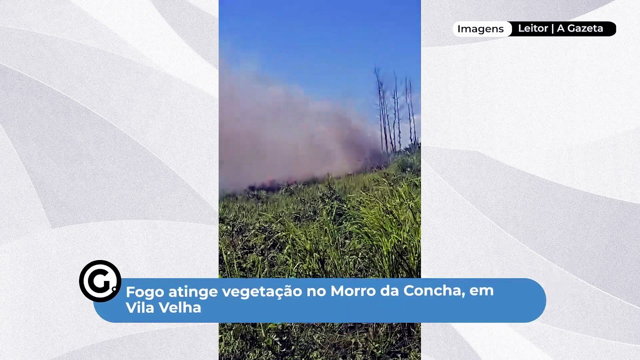 Fogo atinge vegetação no Morro da Concha, em Vi...