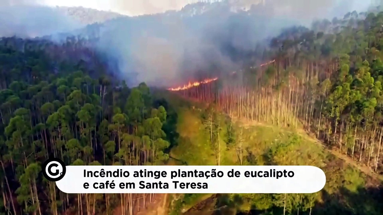 Incêndio atinge plantação de eucalipto e café em Santa Teresa
