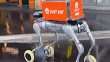 Shocking Robot Revolutionizes Lunch Delivery Experience