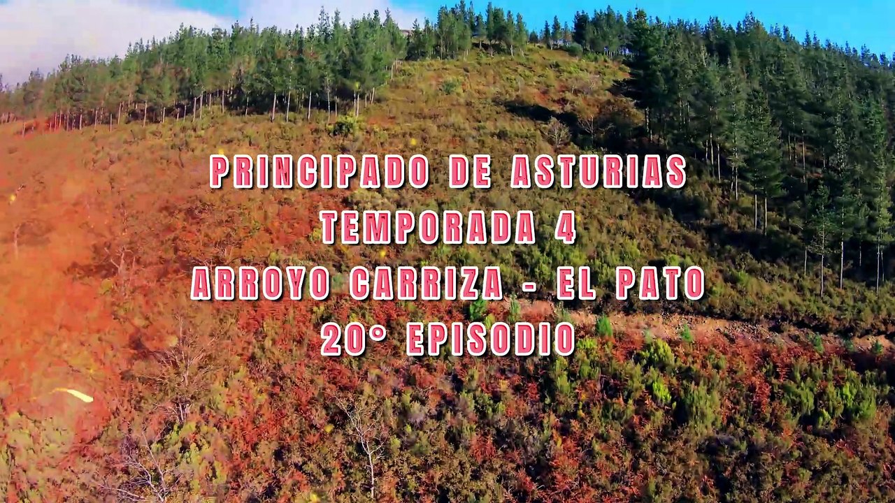 🛩️ Durante Il Volo Una Fitta Nebbia Mi Coglie Di Sorpresa! 😲Arroyo Carriza #20