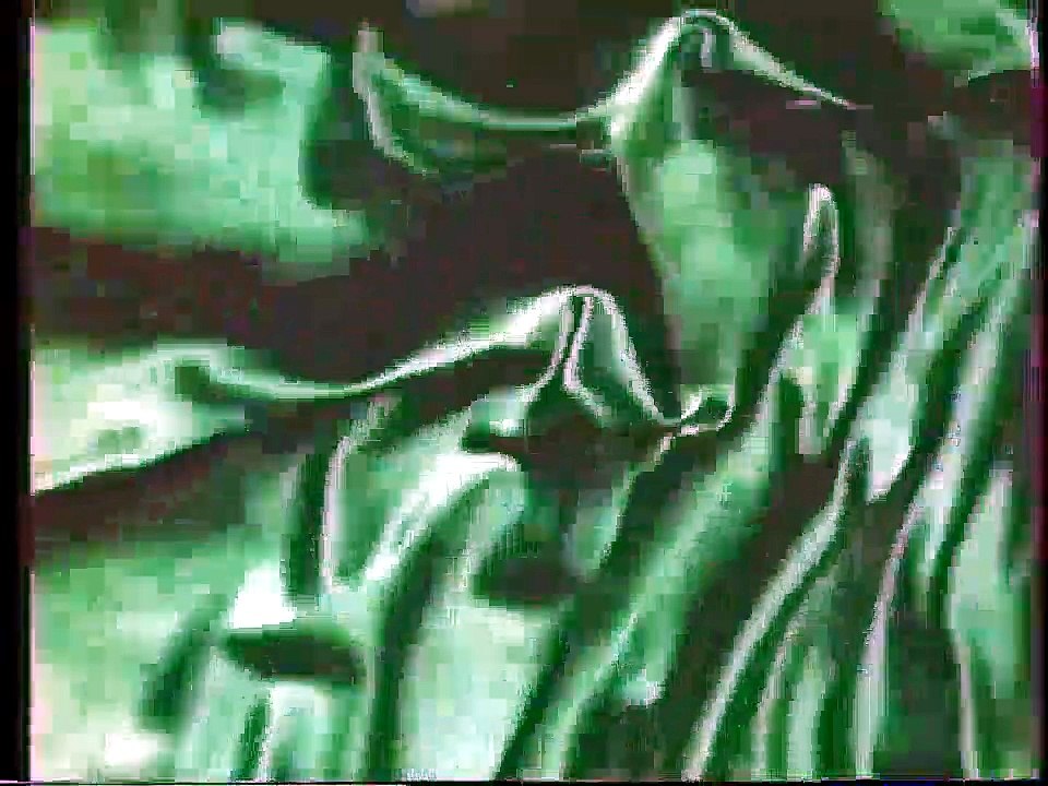 Les surprises de la radio Marcel Paul 1940 Armand Bernard Comédie