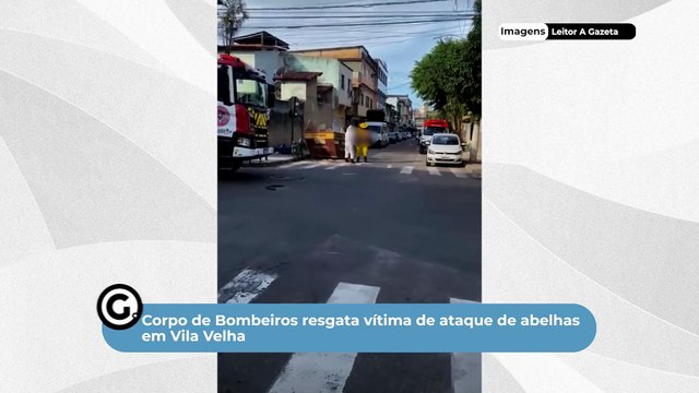 Corpo de Bombeiros resgata vítima de ataque de abelhas em Vila Velha