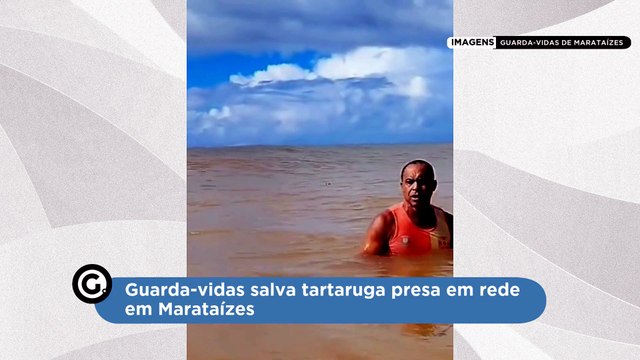 Guarda-vidas salva tartaruga presa em rede em Marataízes