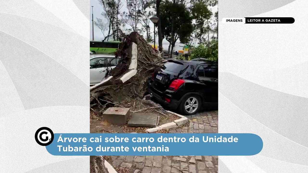 Árvore cai sobre carro dentro da Unidade Tubarão durante ventania