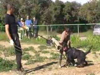 Canal et Ellyès déf 01