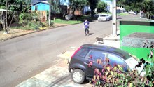 Vídeo mostra homem sendo atacado por cachorros no Bairro Floresta