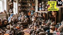 #YourEyesVsTheHedgehogs 👀⚔️🦔 Can You Find the Real Hedgehog? 🦔