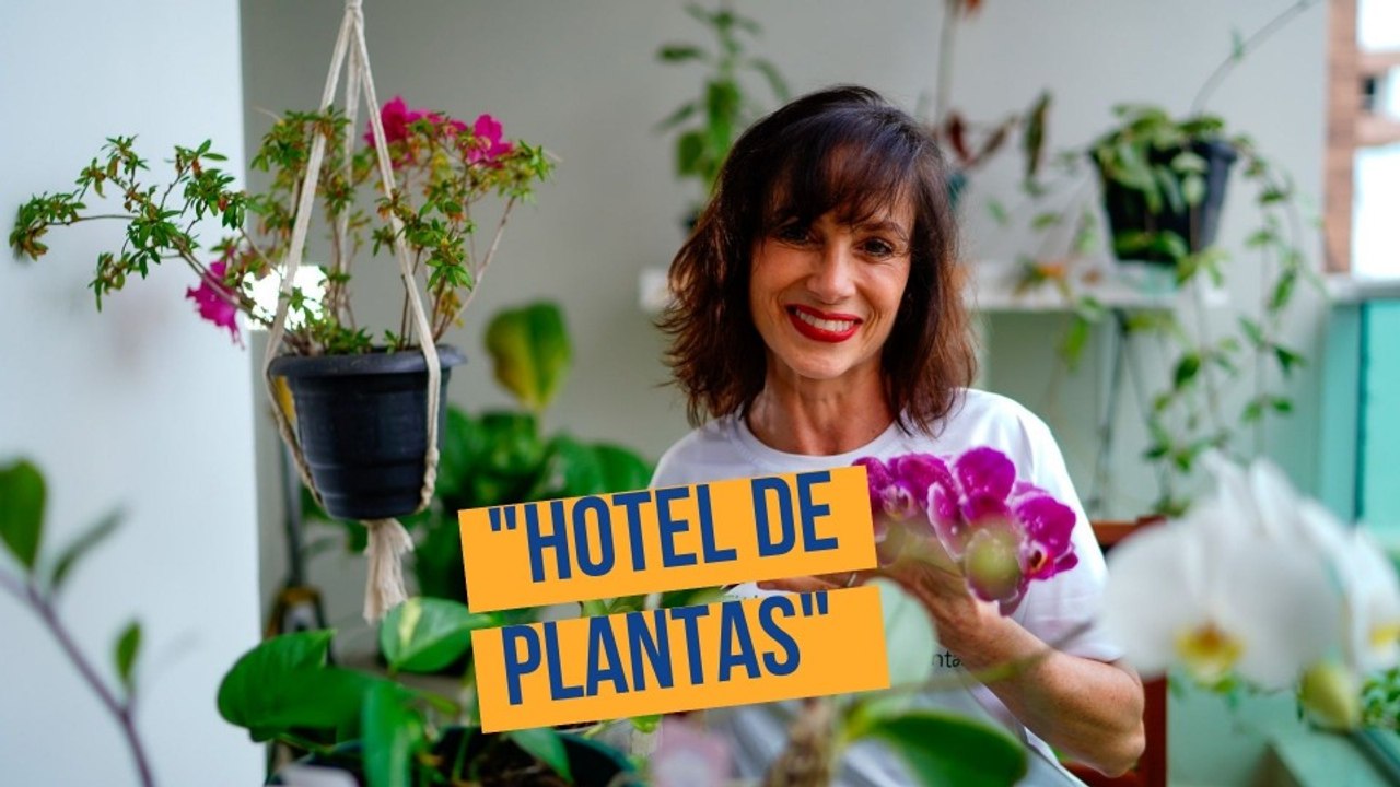 "Hotel de plantas": a mulher que cuida do jardim dos viajantes