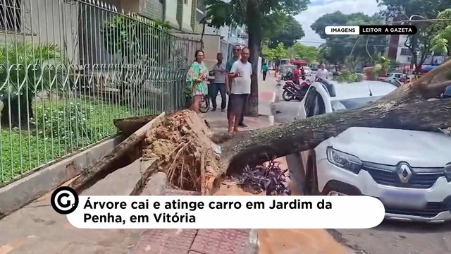 Árvore cai e atinge carro em Jardim da Penha, em Vitória