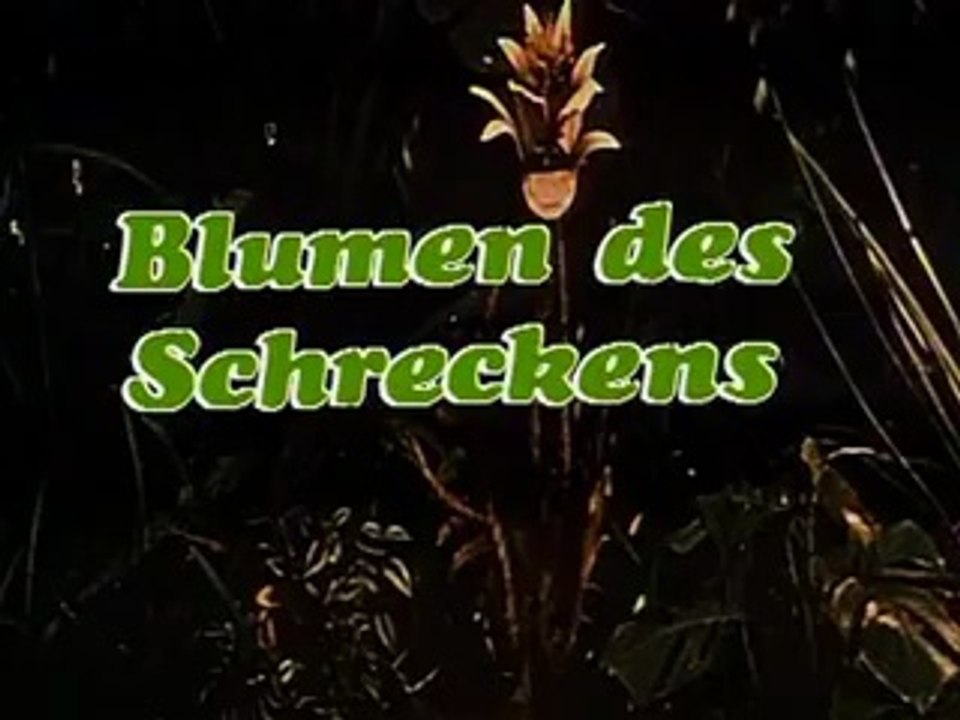Blumen des Schreckens / The Day of the Triffids Film deutsch