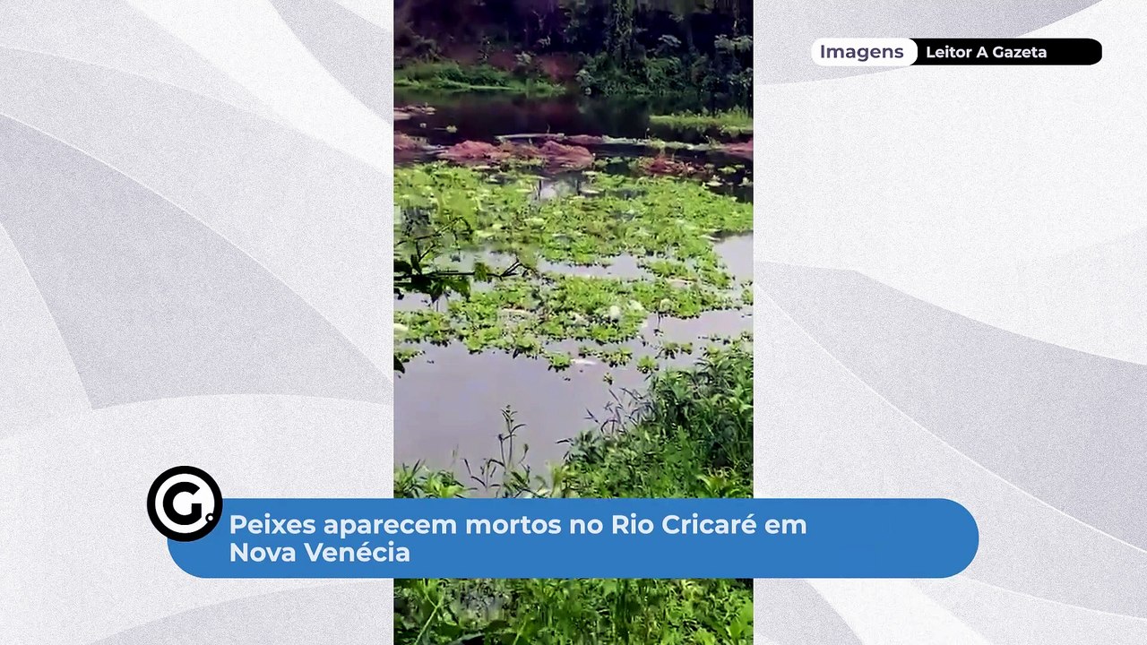 Peixes aparecem mortos no Rio Cricaré em Nova Venécia
