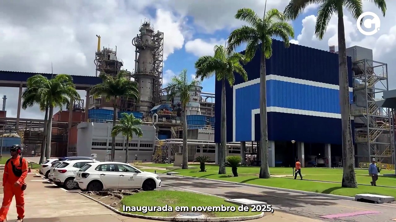 Como celulose vira 1 milhão de rolos de papel em fábrica no ES