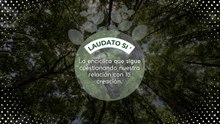 Laudato Si´: la encíclica que sigue cuestionando nuestra relación con la creación.