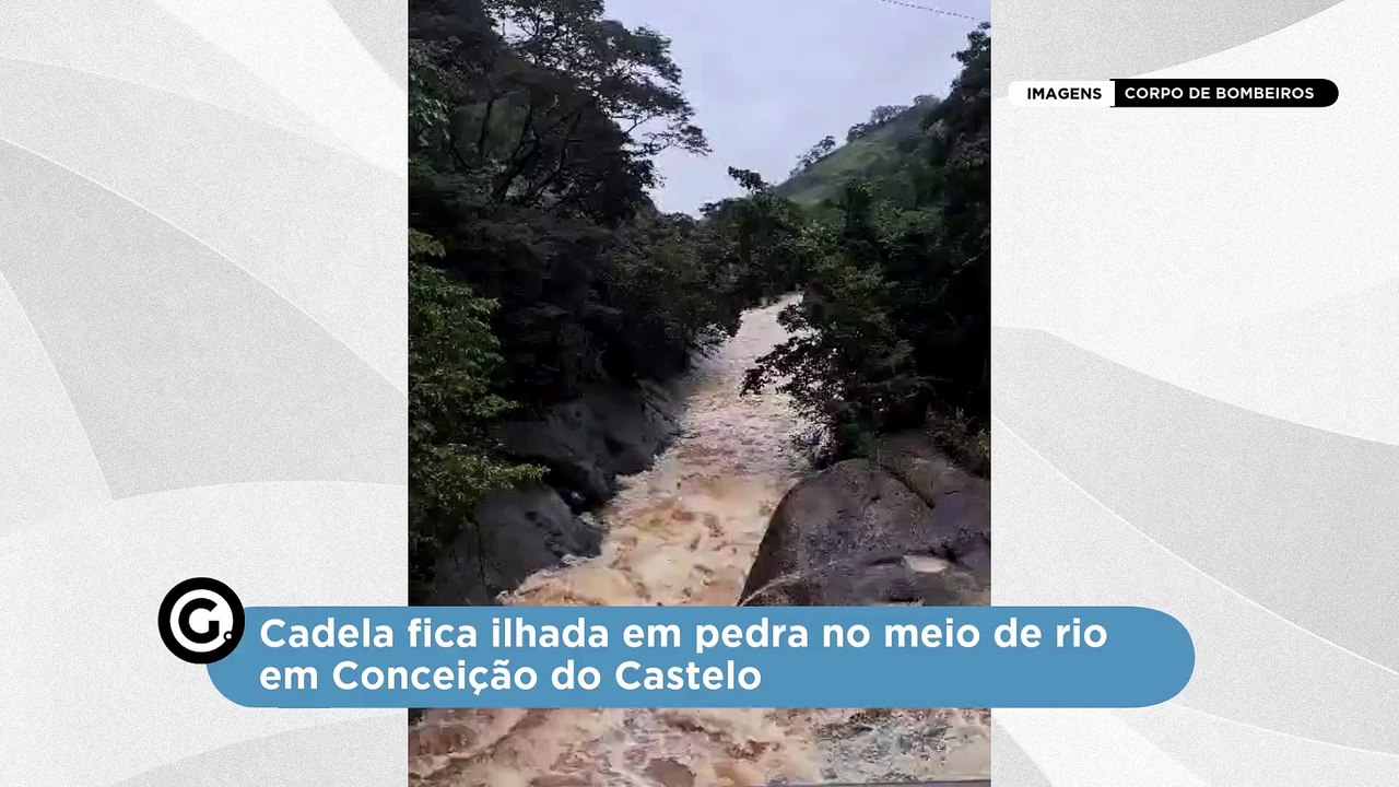 Cadela fica ilhada em pedra no meio de rio em Conceição do Castelo