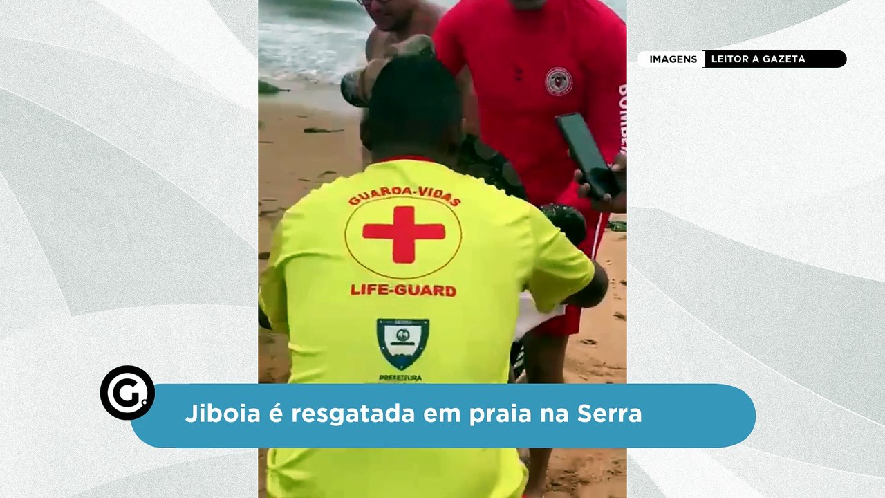 Jiboia é resgatada em praia na Serra