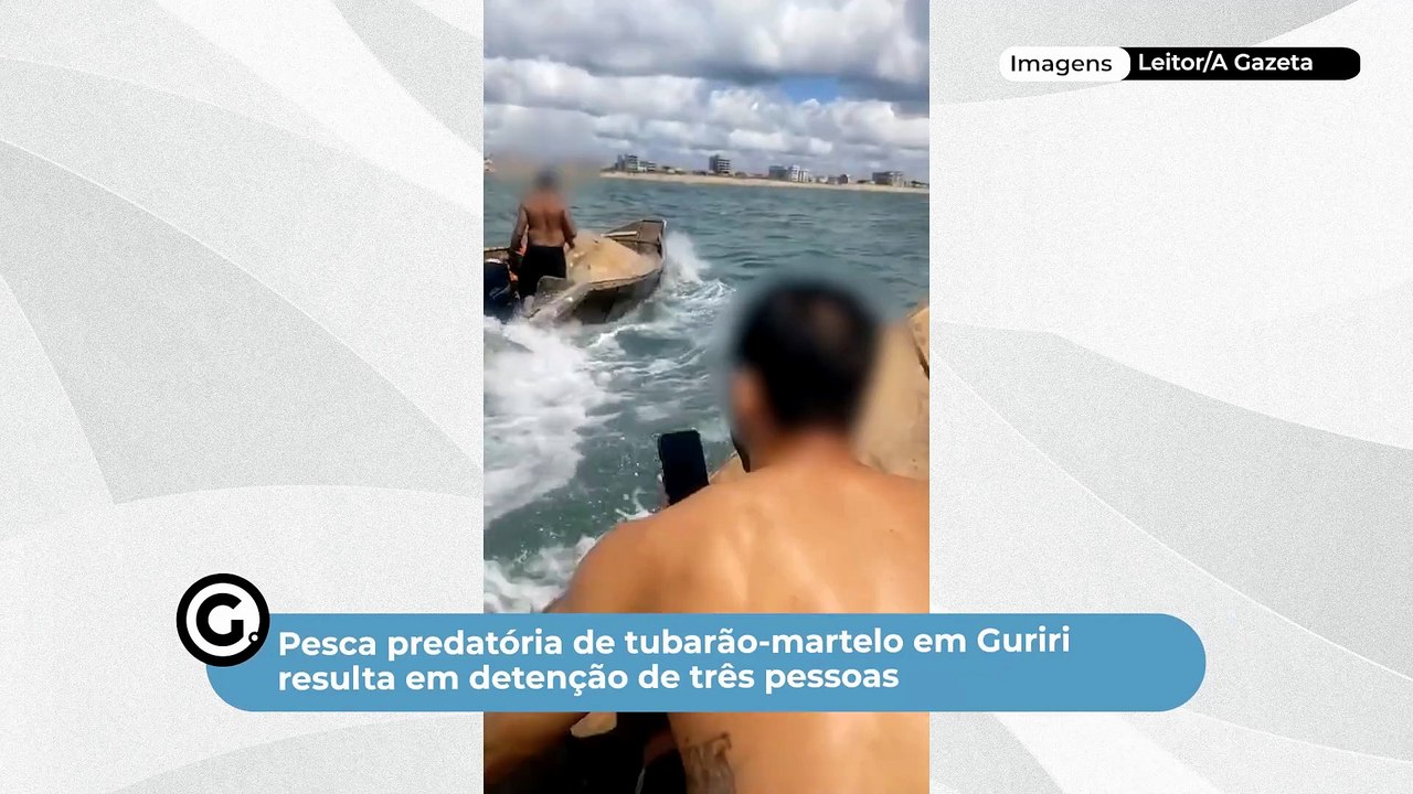 Pesca predatória de tubarão-martelo em Guriri resulta em detenção de três pessoas