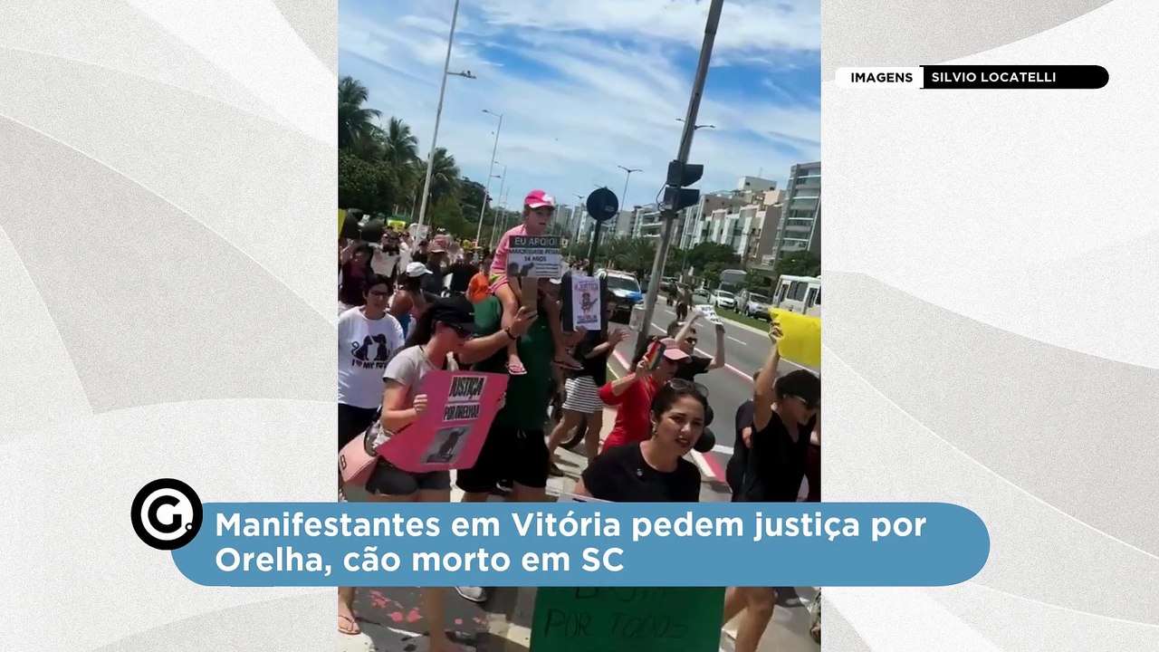 Manifestantes em Vitória pedem justiça por Orelha, cão morto em SC