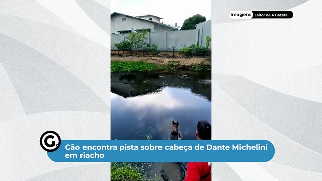 Cão encontra pista sobre cabeça de Dante Michelini em riacho