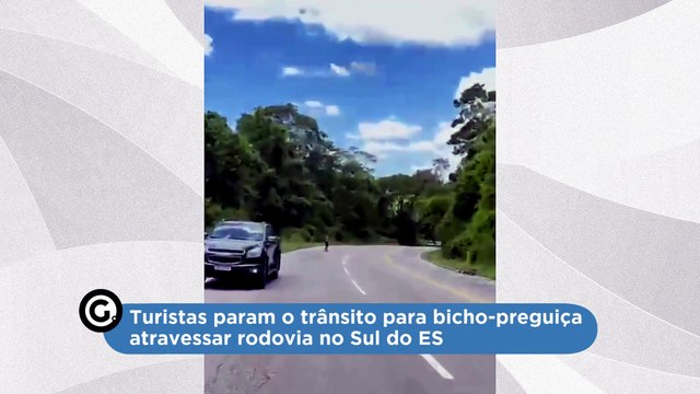 Turistas param o trânsito para bicho-preguiça atravessar rodovia no Sul do ES