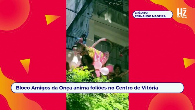 Bloco Amigos da Onça anima foliões no Centro de Vitória