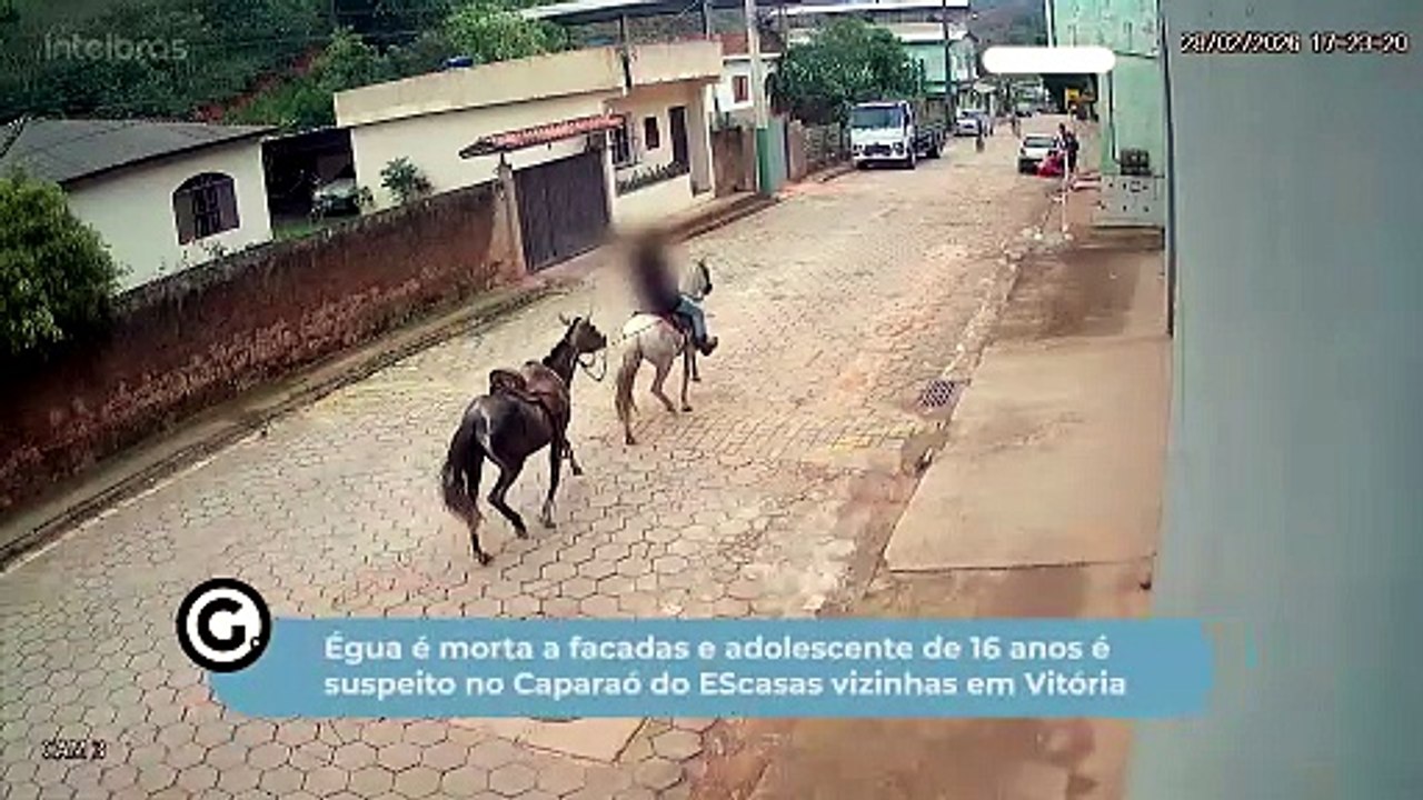 Égua é morta a facadas e adolescente de 16 anos é suspeito no Caparaó do ES