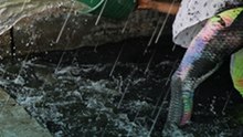 Mipymes y seguros contra lluvias: la fórmula para enfrentar inundaciones y pérdidas millonarias