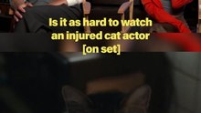 Austin Butler and Zoë Kravitz Share a Laugh Over a Talented Cat Actor