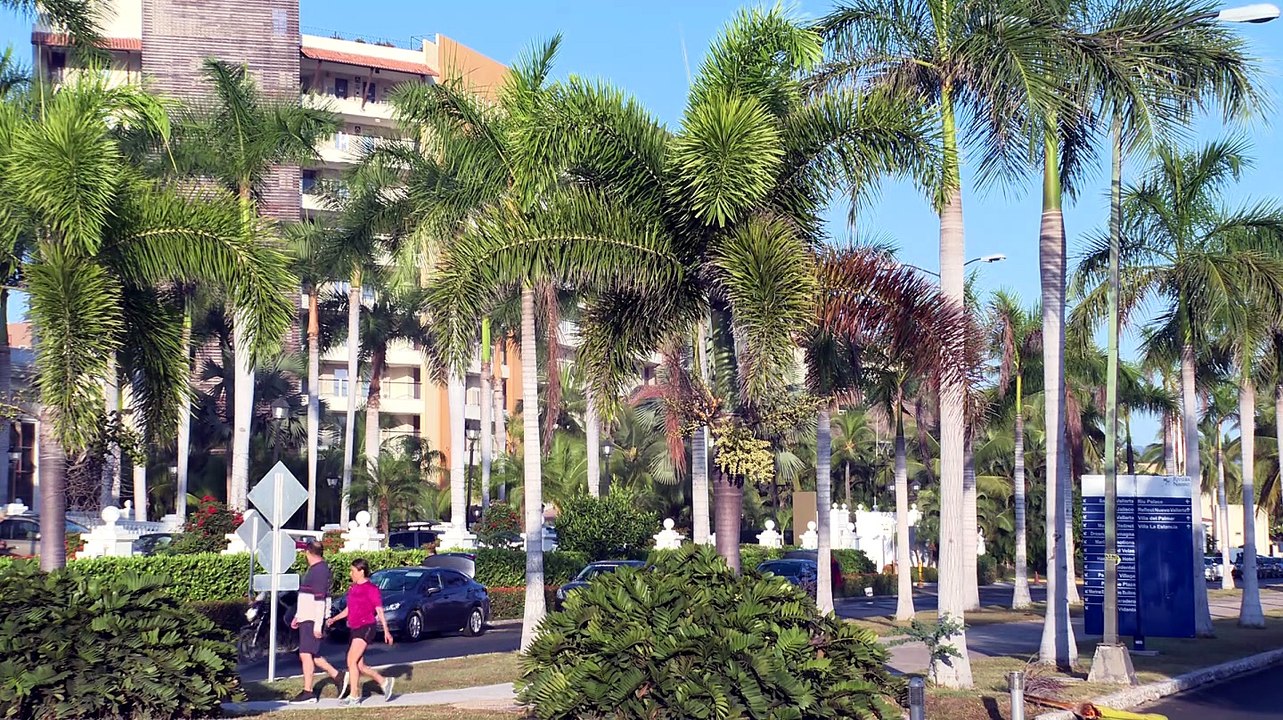 Bahía de Banderas lidera Airbnb de lujo en México | CPS Noticias Puerto Vallarta
