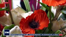 Silvia Ene - De raul dusmanilor (Dragostea la moldoveni - ETNO TV - 07.03.2026)