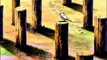 KENICHI CAPITULO31 EDITADO