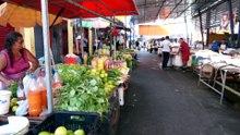 LIXAO FEIRA PAAR