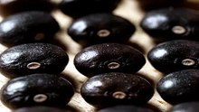 Black Beans Aligned Into a Perfect Grid ✨ Satisfying Pattern Art