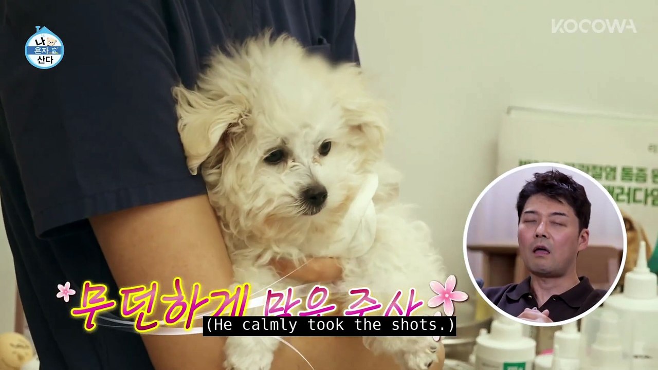 Jun Hyun Moo's Puppy Is Too Brave For His Size Home Alone EP651 KOCOWA+