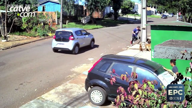 Homem conta detalhes de ataque de cães que deixou funcionário ferido em Cascavel