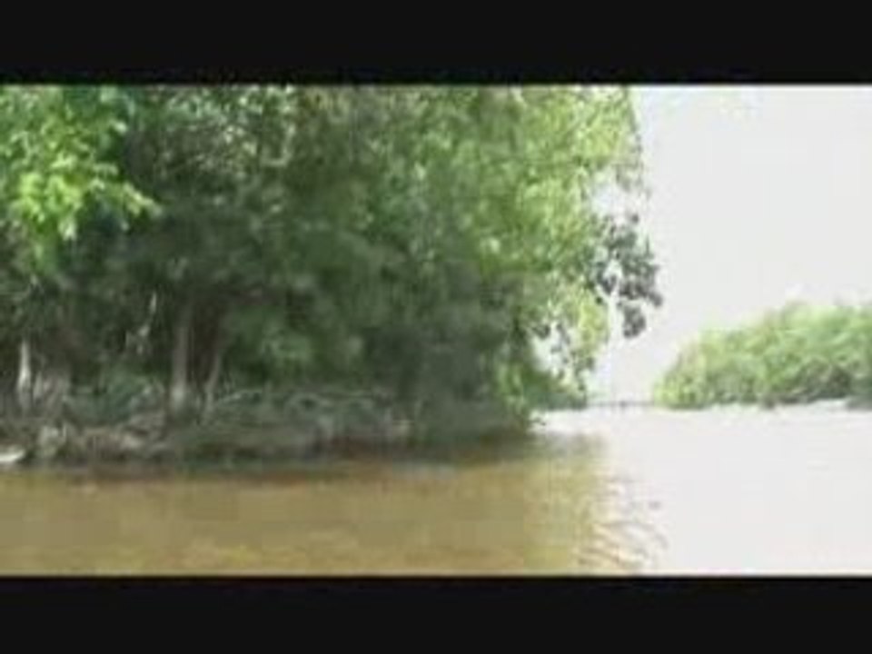 Kayak