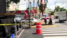 Aclara Guadalajara causas del retiro de árboles en avenida Vallarta