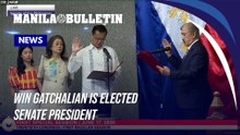 Win Gatchalian is elected Senate president