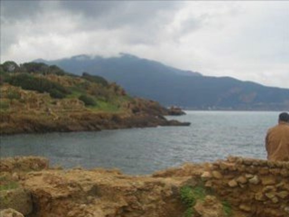 Alger hasni