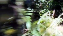 INDIANA JONES ET LE ROYAUME DU CRÂNE DE CRISTAL (2008) Bande Annonce VF - HD [Full Movie]