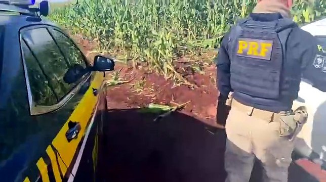 PRF apreende 625 quilos de maconha após perseguição em Engenheiro Beltrão