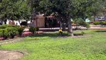 Familiares piden apoyo para localizar a menor y solicitan activación de Alerta Amber