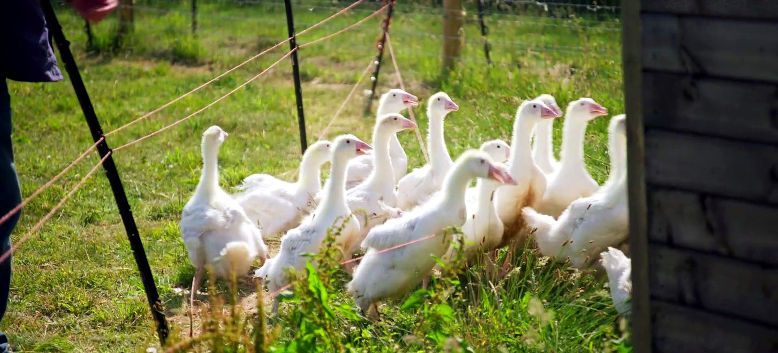 Clarksons Farm S05E07