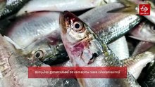 കടലിൽ വിലക്ക്, വിപണിയിൽ പൊള്ളുന്ന വില; ട്രോളിംഗ് നിരോധനത്തോടെ മത്സ്യവിപണിയിൽ ‘തീവില’, പ്രതിസന്ധിയിലായി മലയാളി