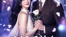 AI短剧合集 - 离婚后前夫总想复合